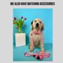 Pink Floral Dog Collar, thumbnail 3 of 4