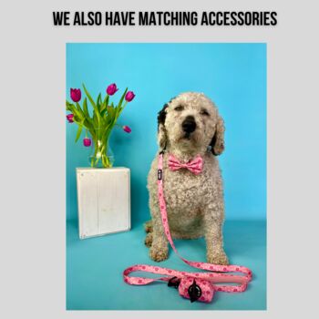 Pink Floral Dog Collar, 3 of 4