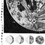 Personalised The Moon Map, thumbnail 3 of 7