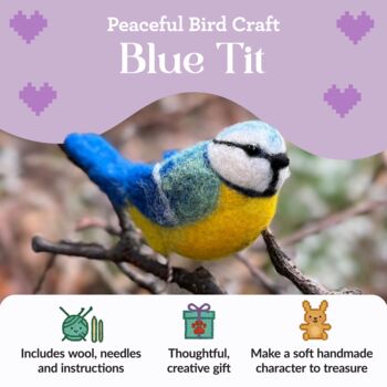 British Birds Blue Tit Needle Felting Craft Kit, 2 of 10