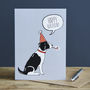 Springer Spaniel Birthday Card, thumbnail 3 of 4