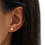 Gold Button Stud Earrings, thumbnail 2 of 5