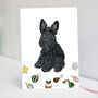 Scottish Terrier Christmas Card, thumbnail 3 of 7