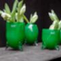 Evita Glass Vase Set Salmon, thumbnail 2 of 8