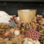 Natural Assortment Of Pine Cones Golden Sparkle, thumbnail 3 of 6