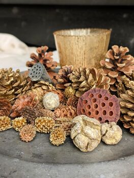 Natural Assortment Of Pine Cones Golden Sparkle, 3 of 6
