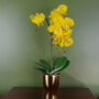 Yellow Orchid Artificial Golden Pot 48cm Real Touch, thumbnail 1 of 3