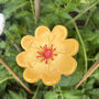 Ceramic Flower Cane Toppers And Bee Bath, thumbnail 8 of 11