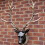 Wall Mounted Stag Head, thumbnail 1 of 4