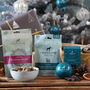 The Innocent Hound Puppy Christmas Gift Box, thumbnail 1 of 4