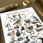 Water Birds Of Britain Watercolour Postcard, thumbnail 2 of 12