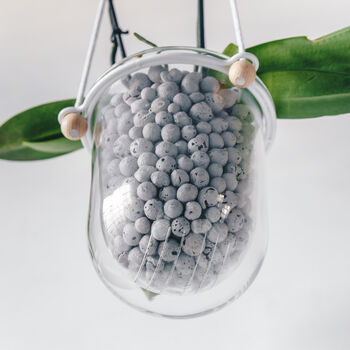 Orla, Hanging Glass Planter, Ideal For Orchids, 2 of 12