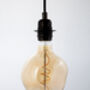 Sculptural Edison LED Bulb E27 Dimmable Filament Six W, thumbnail 7 of 8