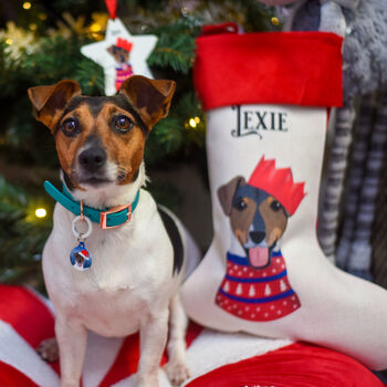 Personalised Party Dog Christmas Present Stocking, 12 of 12