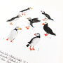 Improbability Of Puffins Art Print, thumbnail 4 of 8