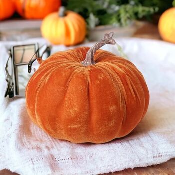 Velvet Pumpkins With Lights, 6 of 6