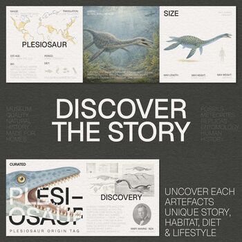 Plesiosaur Paddle Bone Box Frame Real Authentic Jurassic Dinosaur Fossil Museum Quality Natural History Interior Design Home Decor Display Gift Ornament, 2 of 5