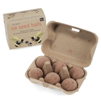 Sweet Box Of Six Seed Balls, 4 of 5