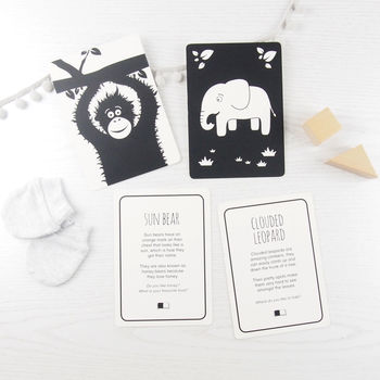 Three Black And White Baby Books With Flash Cards, 6 of 6