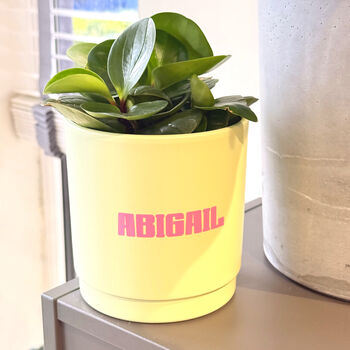 Personalised Name Sticker Waterproof Custom Decal, 5 of 12