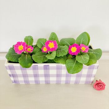 Gingham Plant Pot / Planter, 2 of 4