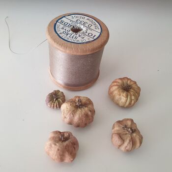 Dried Baby Pumpkin Autumn Potpourri Home Decoration Scented With Pumpkin Spice, 3 of 10