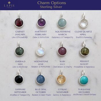 The 'VIP' Friends And Family Birthstone Necklace, Silver, 9 of 12