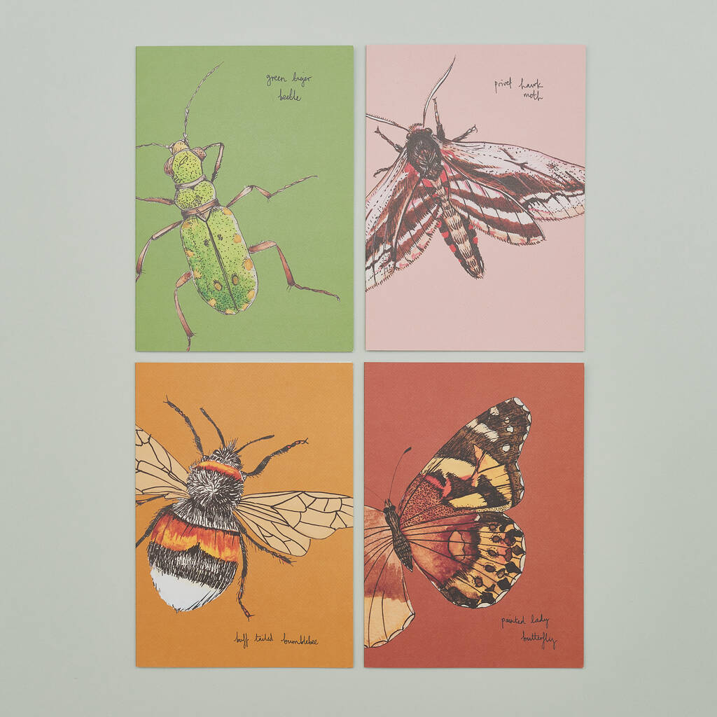 Pack Of Eight Greeting Cards Of British Insects, 1 of 10