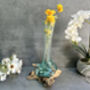 Medium 30cm Molten Glass On Root Vase – Fluted Display, thumbnail 10 of 12