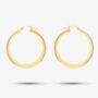 9ct Yellow Gold Polished Hoop Creole Earrings, thumbnail 3 of 4
