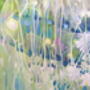 A Quiet Drama, thumbnail 8 of 10