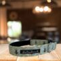 The Hive Ice Blue Luxury Dog Collar, thumbnail 1 of 2