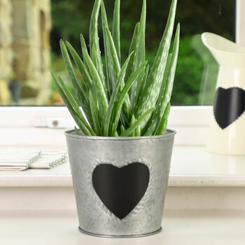 Heart Vase And Planter Tin Anniversary Gift Set, 2 of 8