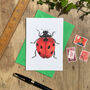 Hand Drawn Ladybird Illustrated Blank Greeting Card, thumbnail 1 of 10