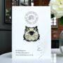 Ragdoll Grumpy Long Haired Cat Enamel Pin Badge, thumbnail 3 of 9