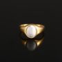 Silver Natural Pine Stone Signet Ring Steel Ring For Men, thumbnail 4 of 7