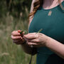 Guided Woodland Nature Walk For One In The South Downs, thumbnail 6 of 9