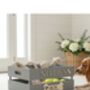 Large Coloured Dog Toy Storage Box With Raised Design, thumbnail 3 of 11
