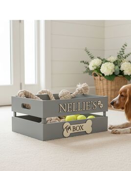 Large Coloured Dog Toy Storage Box With Raised Design, 3 of 11