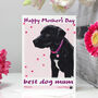Personalised 'Rosie' Dog Mother's Day Card, thumbnail 3 of 7