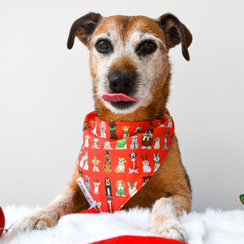 Red Christmas Dog Breeds Bandana, 6 of 8