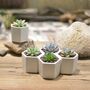 Mini Hexagon Planter Plant Pot White Ceramic, thumbnail 3 of 6