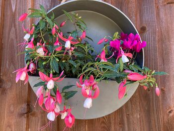 Hanging Zinc Silver Round Wall Planter Flower Pot, 5 of 5