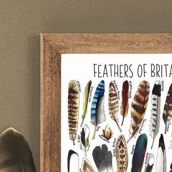 Feathers Of Britain Wildlife Watercolour Print, 2 of 8