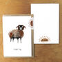 Flock Swaledale Sheep Greetings Card, thumbnail 6 of 7