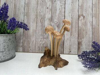 Assorted Wooden Mushroom Forest On Teak Root Wood, 6 of 12