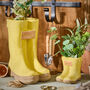 Set Of Two Personalised Yellow Welly Boots Planters, thumbnail 1 of 5