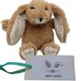 Happy Easter Brown Bunny And Gift Card And Gift Box, thumbnail 1 of 8