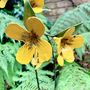 Two Stems Yellow Wildflower Garden Sculptures Art050ylw, thumbnail 6 of 11