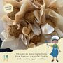 Children's Eco Activity Box: Tremendous Trees, thumbnail 9 of 11